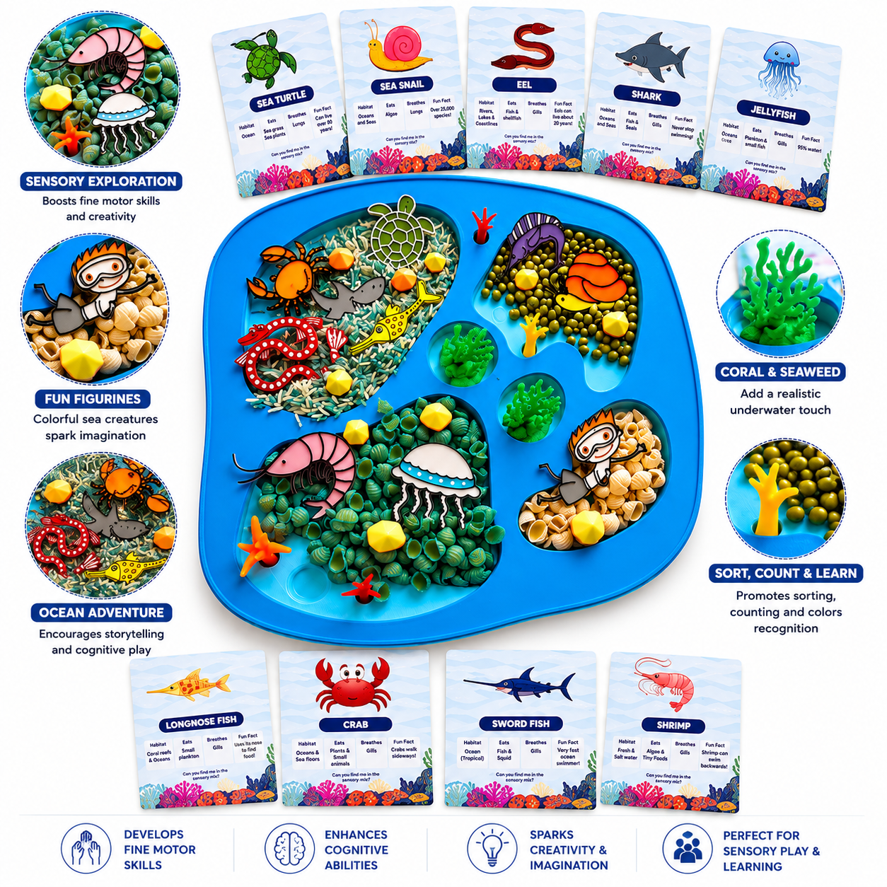 Ocean Sensory Play Kit activity ideas and learning benefits